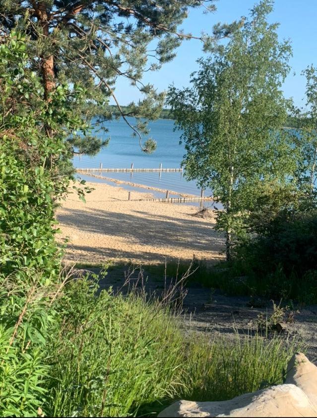 Petit Chalet 69 - Am Hainer See Neukieritzsch Eksteriør bilde